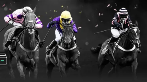 布拉德利·比尔强调：三分球致胜，太阳队坦承惨败猛龙