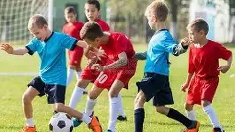 广州蒲公英：坚守独立自主，专注青训发展，不寻求替代或附属地位